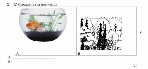 Определите вид экосистемы​