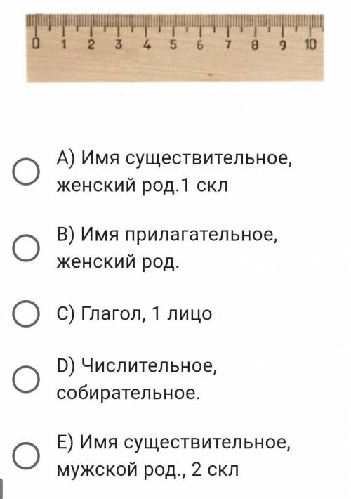 Выбери верную характеристику для слова, изображенного на рисунке.​