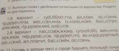 Выпиши слова с удвоенными согласными по вариантам точка Раздели их для переноса ​