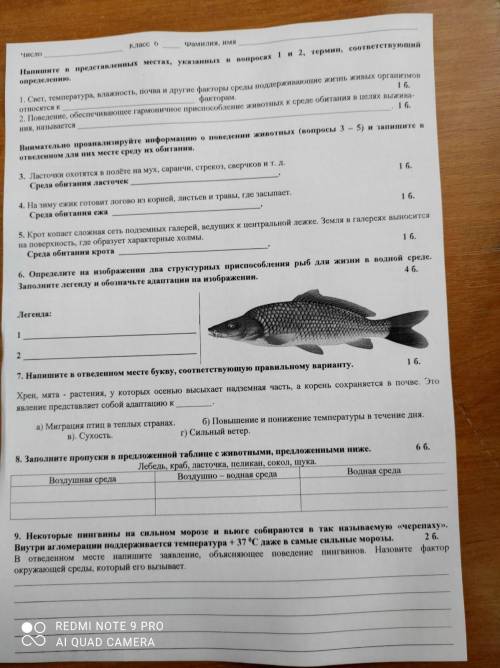 Номер 1 8 и ЭТО ВСЕ БЫЛЫ КОТОРЫЕ ОСТАЛИСЬНАДЕЮСЬ НА ВАС ЭТО., 6 КЛАСС ИЗВИНИТЕ СЛУЧАЙНО НАЖАЛА НА 10