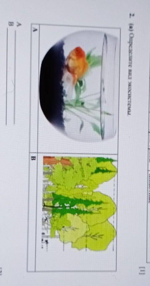 2. (а) Опредете над экосистемы1AB​