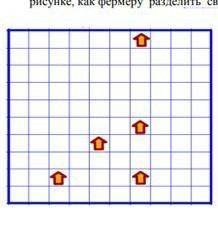 Фермер владеет квадратным участком земли площадью 200 км² и пятью домами, расположенными на нём, как