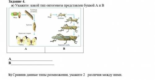 Укажите какой тип онтогенеза представлен буквой а и в. ​