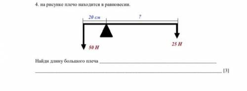 . На рисунке плечо находится в равновесии. Найдите длину большего плеча.