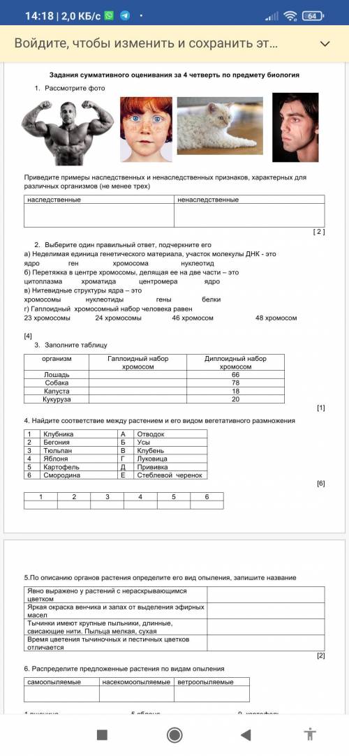 1. Рассмотрите фото Приведите примеры наследственных и ненаследственных признаков, характерных для р