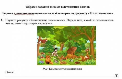 1.    Изучите рисунок «Компоненты экосистемы». Определите, какой из компонентов экосистемы отсутству