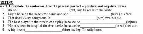 Complete the sentences.Use the present perfect-positive and negative forms.​