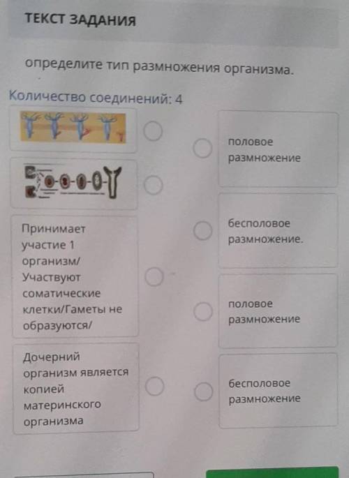 Определите тип размножения организма. Количество соединений: 4половоеразмножениебесполовоеразмножени