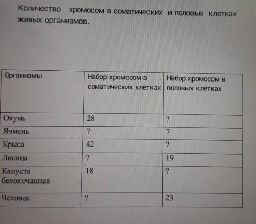 ОЧЕНЬ . определите количество хромосом в организма и заполните пропуски в таблицеКоличество хромосом