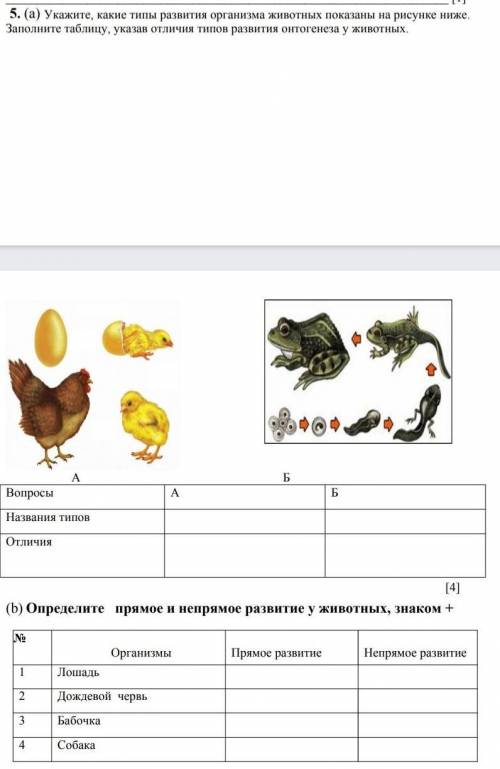 укажите какие типы развития организма животных показаны на рисунке ниже. Заполните таблицу, указав о