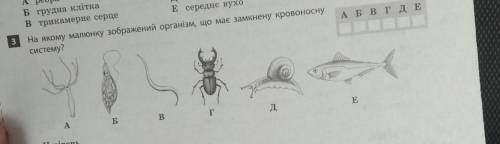 На якому малюнку зображений організм що має замкнуту кровоносну систему​