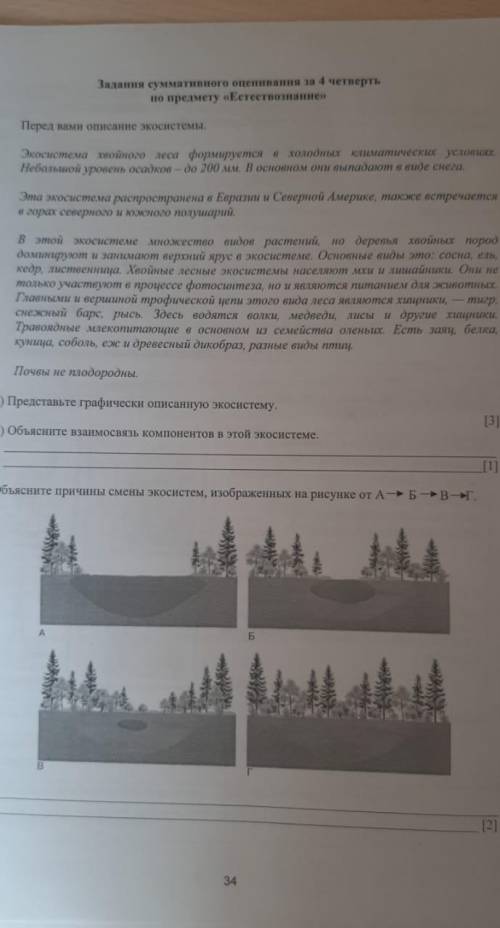 1.представь графически описанную экосистеме 2.объесните взаимосвязь компонентов в этой экосистеме 3.