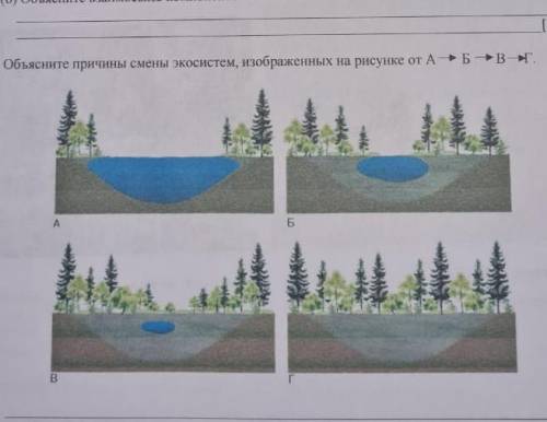 Объясните причины смены экосистем , изображенных на риусунках от А Б В Г ​