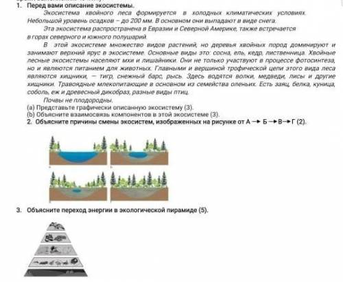 Здравствуйте с этим заданием​