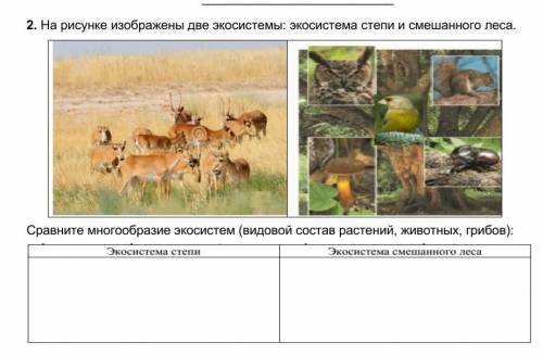 Сравните многообразие экосистем (видовой состав растений, животных, грибов):​