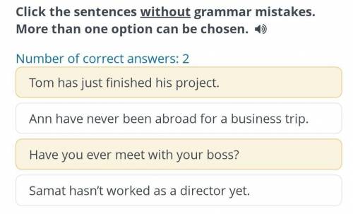 Click the sentences without grammar mistakes. More than one option can be chosen. )​