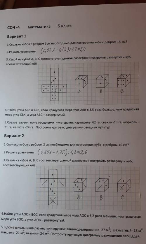 какой вариант вам легче решитть это соч 5 класс матем ​