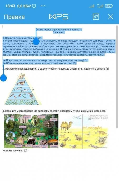 Суммативное оценивание за 4 четверть 1 вариант1. Прочитайте внимательно текст В степи преобладают тр