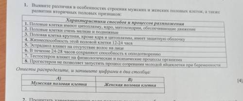 Выявите различия в особенностях строения мужских и женских половых клеток, а так же развитие вторичн