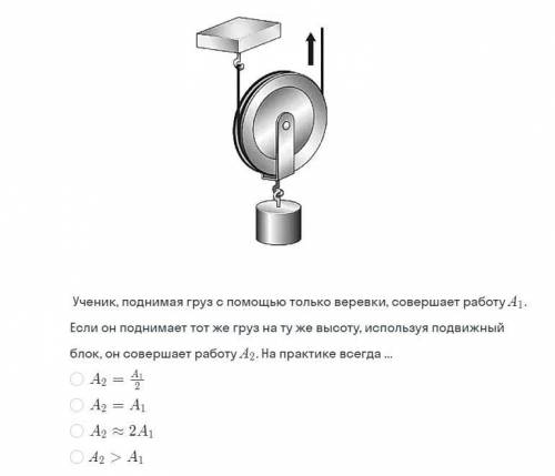 Какой ответ верный? подскажите