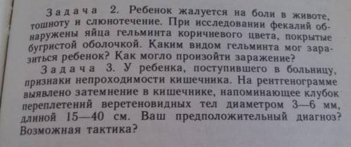 В мазке, сделанном путем соскоба с перианальных