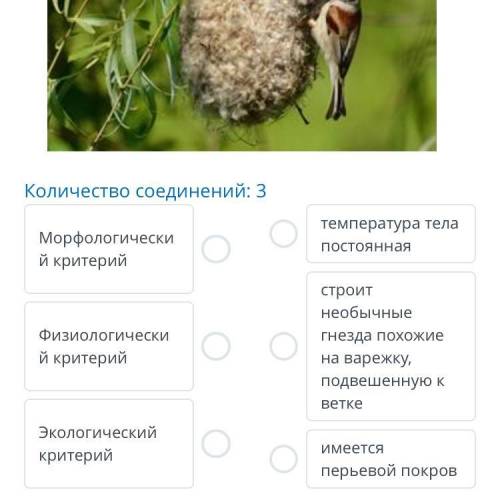 это задание по биологии Вопрос:соотнеси характеристики организма(птица ремез) представленного на рис
