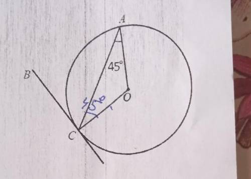 ВС- касательная к окружности. Вычислите градусную меру угла ​