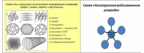 Используя рисунок,заполните схему «Аллотропные видоизменения углерода». Дескриптор Обучающийся−запол