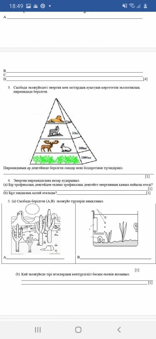 БЖБ ЖАРАТЫЛЫСТАНУ с БЖБ 6 класс