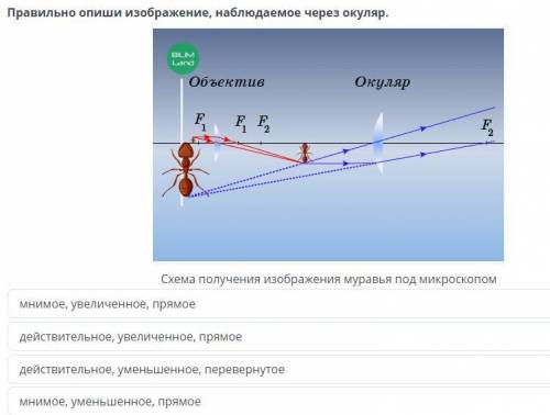 Правильно опиши изображение, наблюдаемое через окуляр.