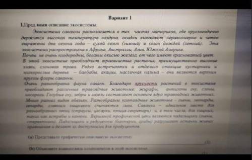 Представьте графический описанную экосистему Объясните взаимосвязь компонентов в этой экосистеме соч