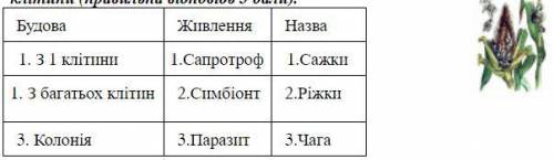 У завданні 13 необхідно вибрати одну правильну комбінацію варіантів відповідей. Виберіть правильний