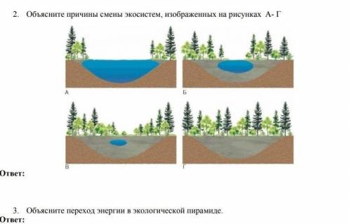 ПЛМРГИТЕ СО 2 И 3 ЗАДАНИЕМ ОТКРОЙТЕ ФОТО ПОЛНОСТЬЮ ​