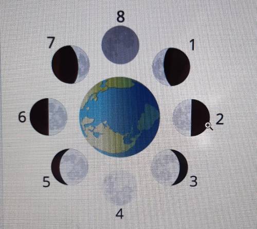 Рассмотри картинку!На какой стадии луна на 7 картинке?​