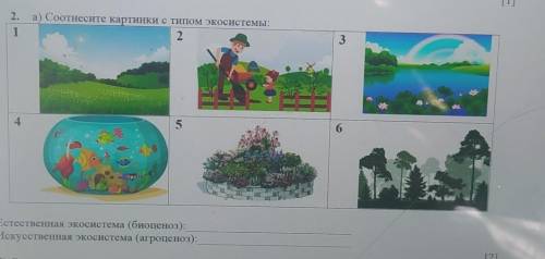 2. а) Соотнесите картинки с типом экосистемы: Естественная экосистема (биоценоз):Искусственная экоси