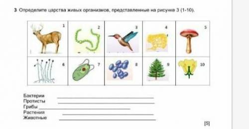 3 Определите царства живых организмов, представленные на рисунке 3 (1-10). Бактерии Протисты Грибы Р