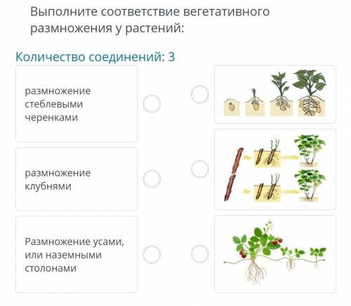 с заданиями Задания на фото