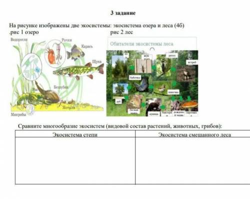 3 задание На рисунке изображены две экосистемы: экосистема озера и леса (4б).рис 1 озеро рис 2 лесСр