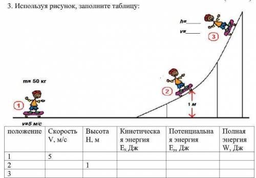 Используя рисунок, заполните таблицу.