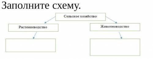 Заполните схемуЭто СОЧ ​