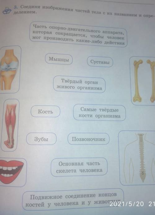 по родина видению делай лучше ответ​