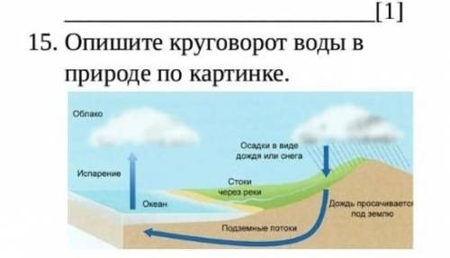 Опишите круговорот воды в природе по картинке.​