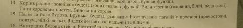 Задание 15, розташовання пагонів у присторі... ​