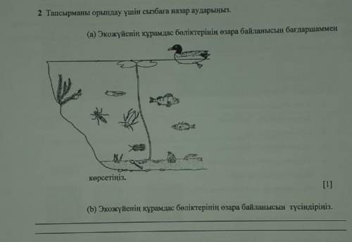 Те сурак суретте тур​