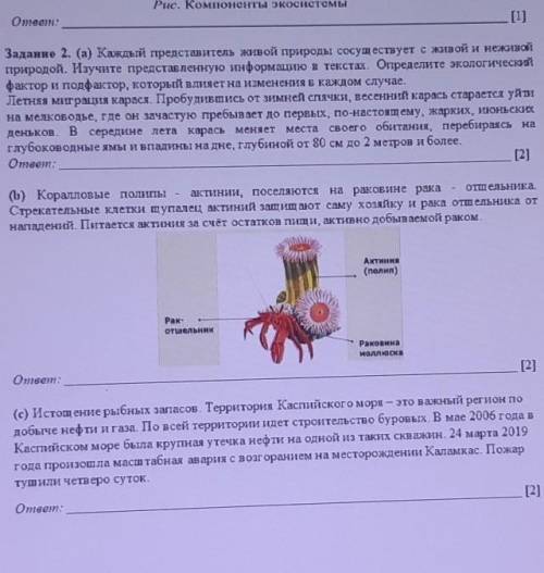 Вот соч если можно со всем сочем ​