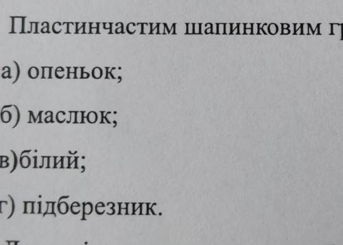 Пластичним шапинковим грибом є​