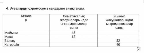 Ағзалар Соматикалық жасушаларындағы хромосомалар саныЖыныс жасушаларындағы хромосомалар саныМаймыл48