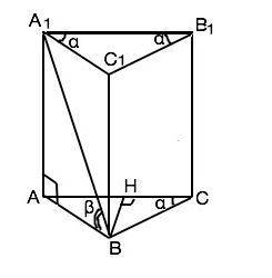 Основа прямої призми рівнобедрений з кутом aльфа при основі.знайти об'єм циліндра, вписаного в призм