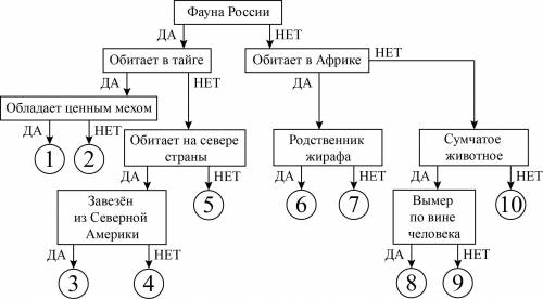 Следуя алгоритму, определите представителей животного мира. лемминг опоссум горилла соболь кабарга о