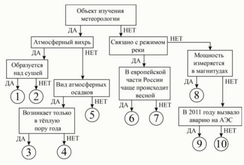 Следуя алгоритму, определите природные явления и процессы. землетрясение сель град тайфун половодье